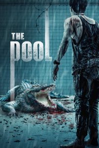 The Pool (2018) BluRay Hindi Dubbed (ORG) Full-Movie 480p [380MB] | 720p [840MB] | 1080p [2.4GB]