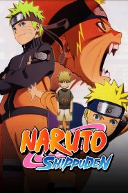 Naruto: Shippuden (Season 9) (Epi-176-196 Complete) Hindi Dubbed (ORG) MULTi-Audio Anime Series 720p & 1080p WEB-DL