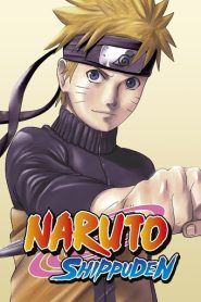 Naruto: Shippuden (Season 10) (Epi-197-210 Added) Hindi Dubbed (ORG) MULTi-Audio Anime Series 720p & 1080p WEB-DL