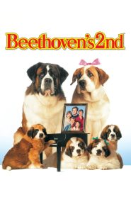 Beethoven’s 2nd (1993) BluRay Dual Audio {Hindi-English} 480p [220MB] | 720p [940MB] | 1080p [1.8GB]