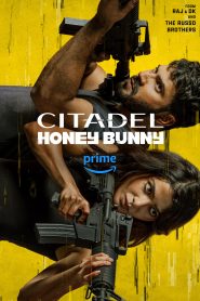 Citadel: Honey Bunny (Season 1) AMZN WEB-DL {Hindi ORG. DD5.1} Complete Web Series 480p | 720p | 1080p