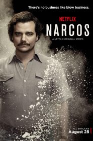 Narcos S01 Dual Audio {Hindi-English} Complete Netflix Series 480p [200MB] | 720p [400MB]
