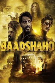Baadshaho (2017) WEB-DL [Hindi DD 5.1] 1080p 720p & 480p [x264] 