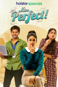 Miss Perfect (2024) S01 Dual Audio [Bengali-Hindi] HS WEB-DL H264 AAC 1080p 720p 480p ESub