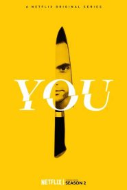 You (Season 2) Netflix (Hindi-DD5.1) WEB-DL 480p 720p & 1080p Dual Audio Series