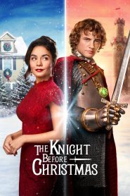 The Knight Before Christmas (2019) WEB-DL Dual Audio [Hindi (ORG 5.1) & English] 1080p 720p & 480p
