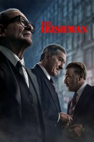 The Irishman (2019) WEB-DL Dual Audio [Hindi (ORG 5.1) & English] 1080p 720p & 480p
