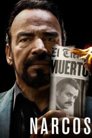 Narcos S03 Dual Audio {Hindi-English} Complete Netflix Series 480p [200MB] | 720p [400MB]