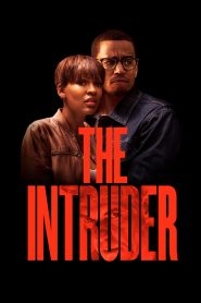 The Intruder (2019) BluRay Dual Audio [Hindi (ORG 5.1) & English] 1080p 720p & 480p  