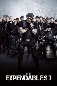 The Expendables 3 (2014) Dual Audio Hindi 480p [400MB] | 720p [1GB] | 1080p [3.5GB]