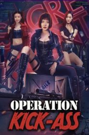 Action team overlord flower (2022) HDRip Dual Audio {Hindi-Chinese} 480p [300MB] | 720p [690MB] | 1080p [800MB]
