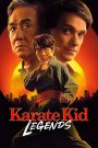 Karate Kid: Legends (2025) Dual Audio {Hindi-English} TELESYNC 480p [310MB] | 720p [970MB] | 1080p [2GB]