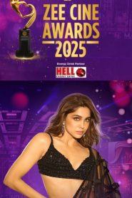 Zee Cine Awards (2025) Hindi Main Event Full Awards Show 480p | 720p | 1080p WEB-DL