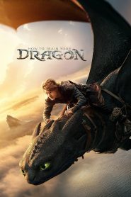 How to Train Your Dragon (2025) HDRip Dual Audio [Hindi (LiNE) & English] 1080p 720p & 480p