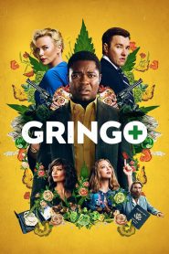 Gringo (2018) Dual Audio {Hindi-English} BluRay 480p [430MB] | 720p [950MB] | 1080p [2.4GB]