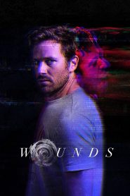 Wounds (2019) Dual Audio {Hindi-English} BluRay 480p [200MB] | 720p [900MB] | 1080p [3GB]