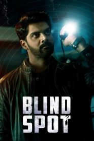 Blind Spot (2025) Hindi-DD5.1 (Multi-Audio) WeB-DL 480p [470MB] | 720p [1.1GB] | 1080p [2.5GB]