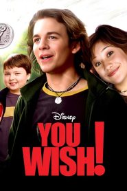 You Wish! (2003) Dual Audio {Hindi-English} BluRay 480p [300MB] | 720p [820MB] | 1080p [1.6GB]