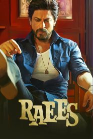 Raees (2017) Hindi Full Movie 480p [400MB] | 720p [1.2GB] | 1080p [4GB]